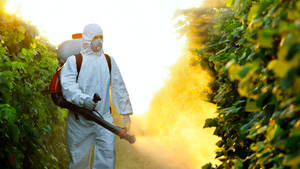 Pesticide