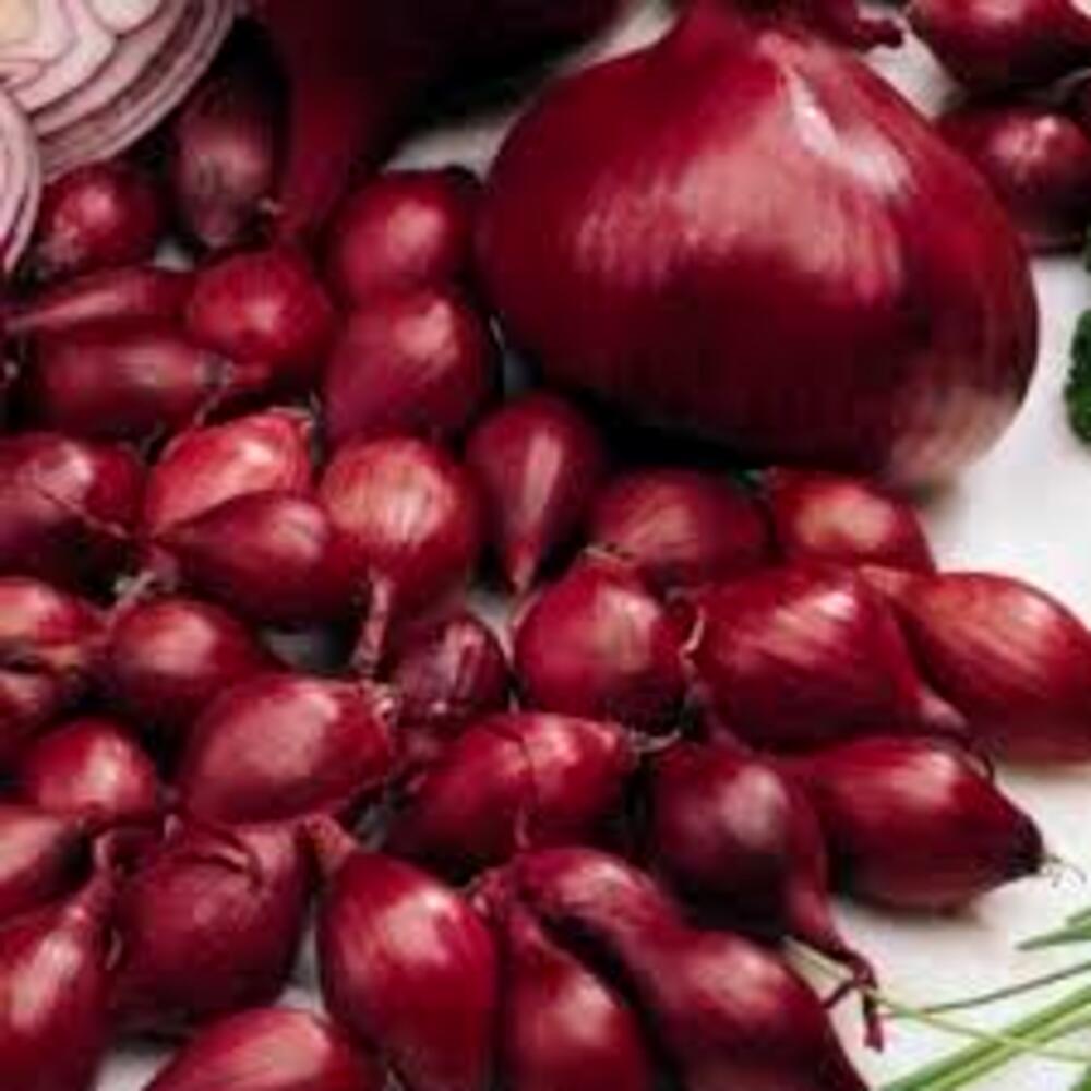 Arpagic rosu Red Karmen 500 gr