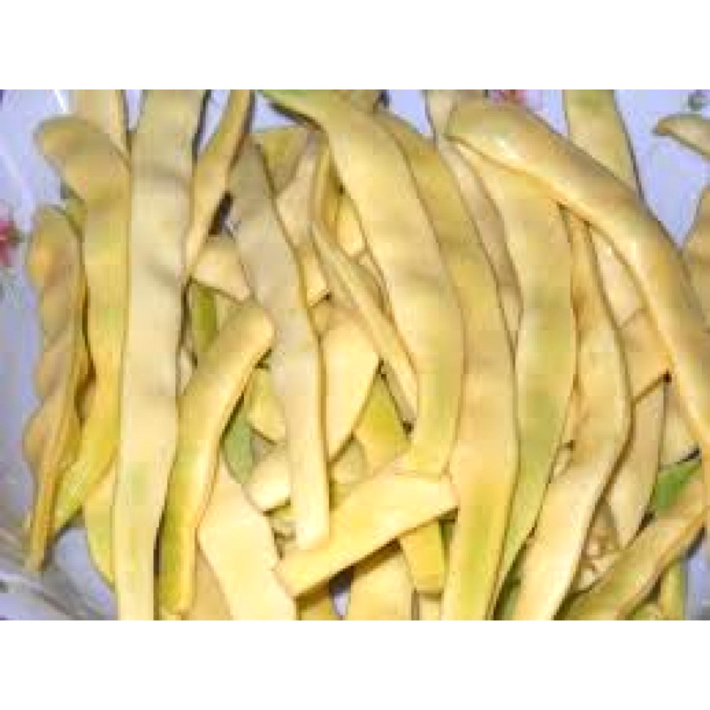 Fasole lata galbena Ecaterina 50 gr PG5 Agrosel