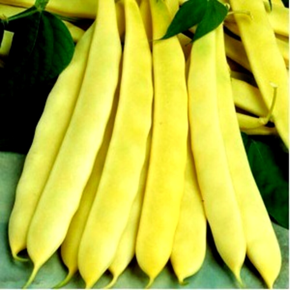 Fasole pitica lata 200 gr