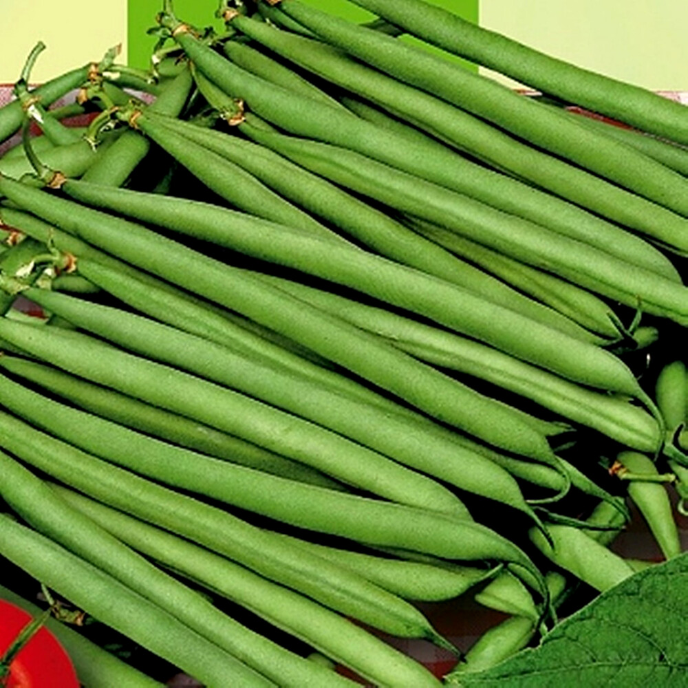 Fasole pitica Processor 180 gr.