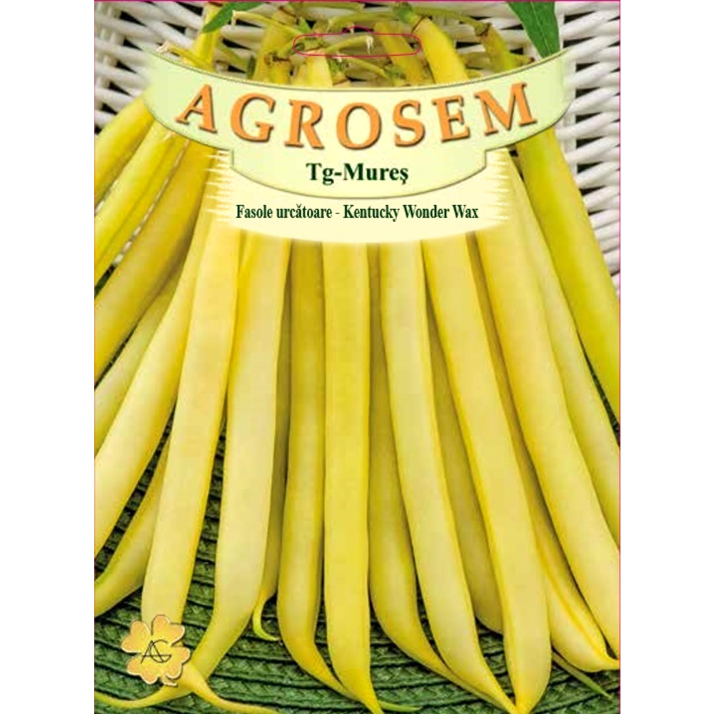 Fasole urcatoare Kentucky 50 gr