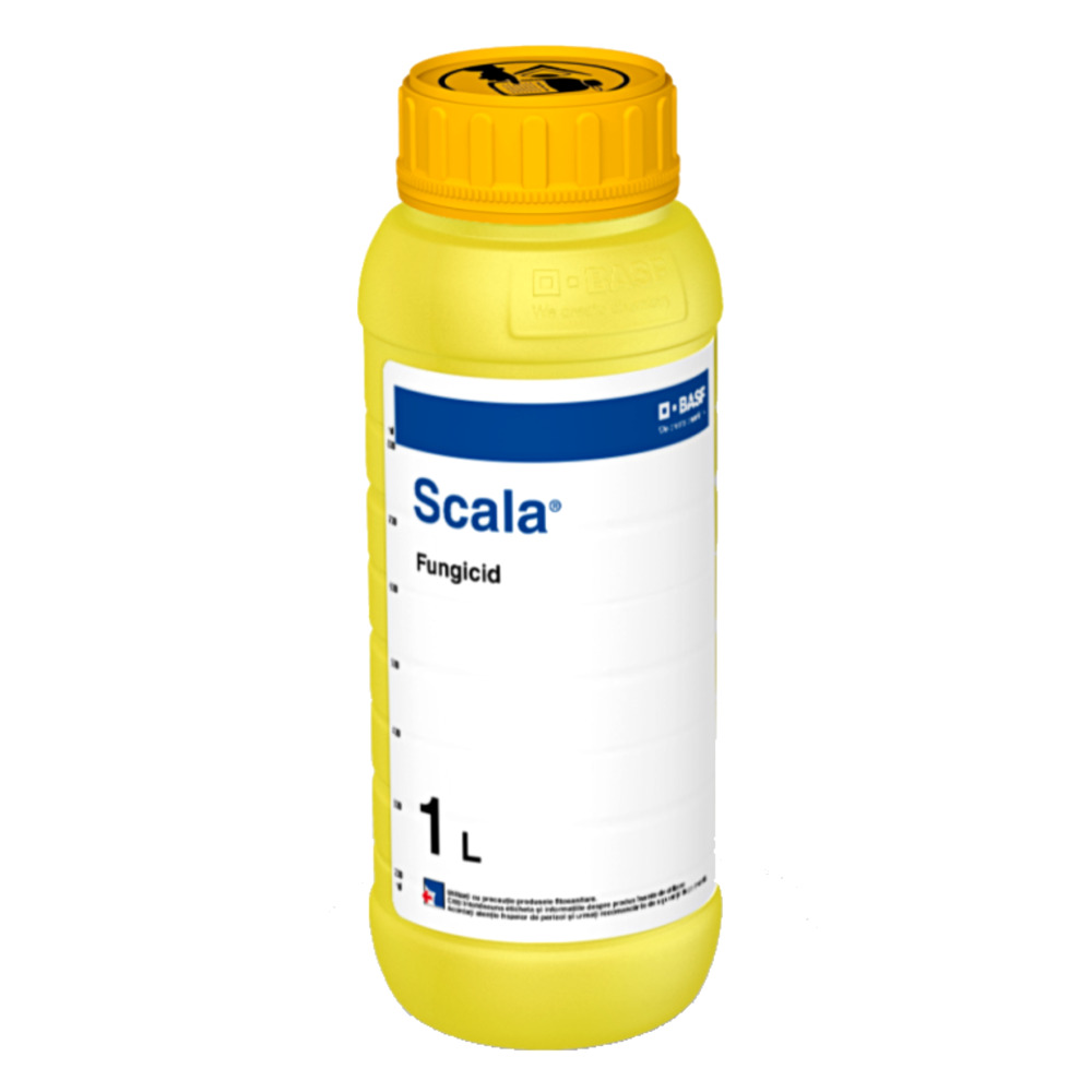 Fungicid SCALA - 1 Litru, BASF, Contact, Putregaiul Cenusiu, Rapan