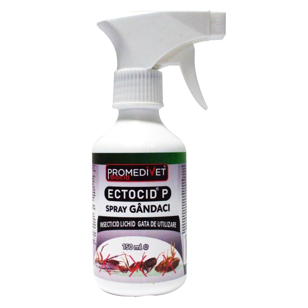 Insecticid ECTOCID P Spray Gandaci - 150 ml