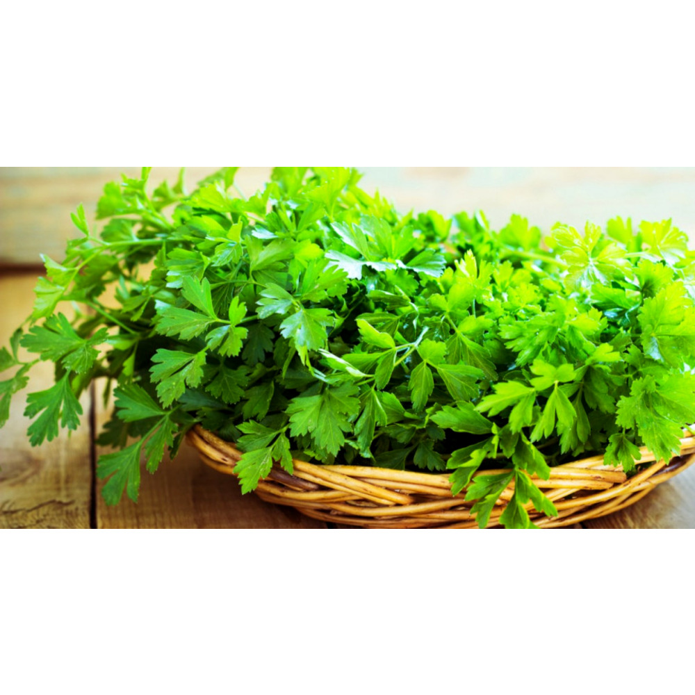 patrunjel frunze plic pg4 Agrosel