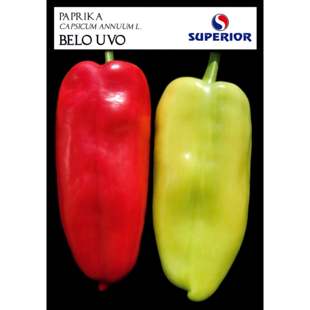Seminte ardei kapia alb Belo uvo Superior 2 gr