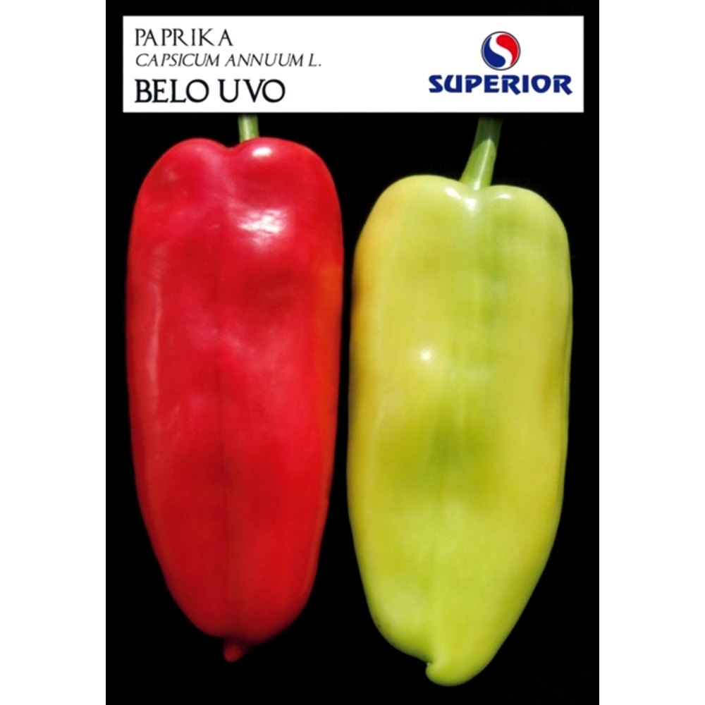 Seminte ardei kapia alb Belo uvo Superior 5 gr