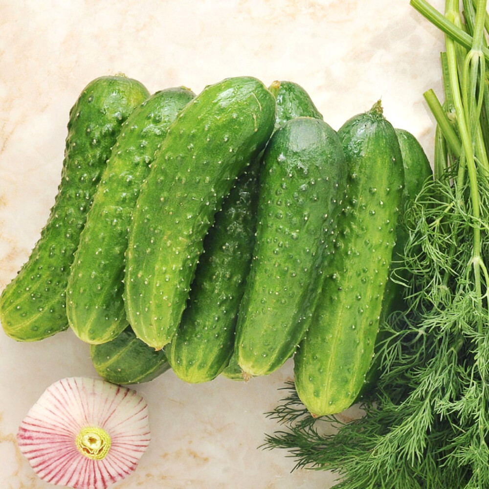Seminte castraveti Cornichon DELIKATES 100  gr