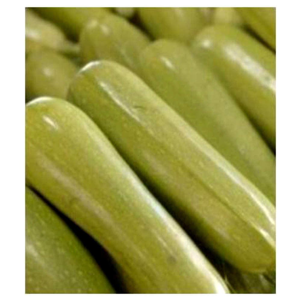 Seminte dovlecel Radu 5 gr PG3 Agrosel