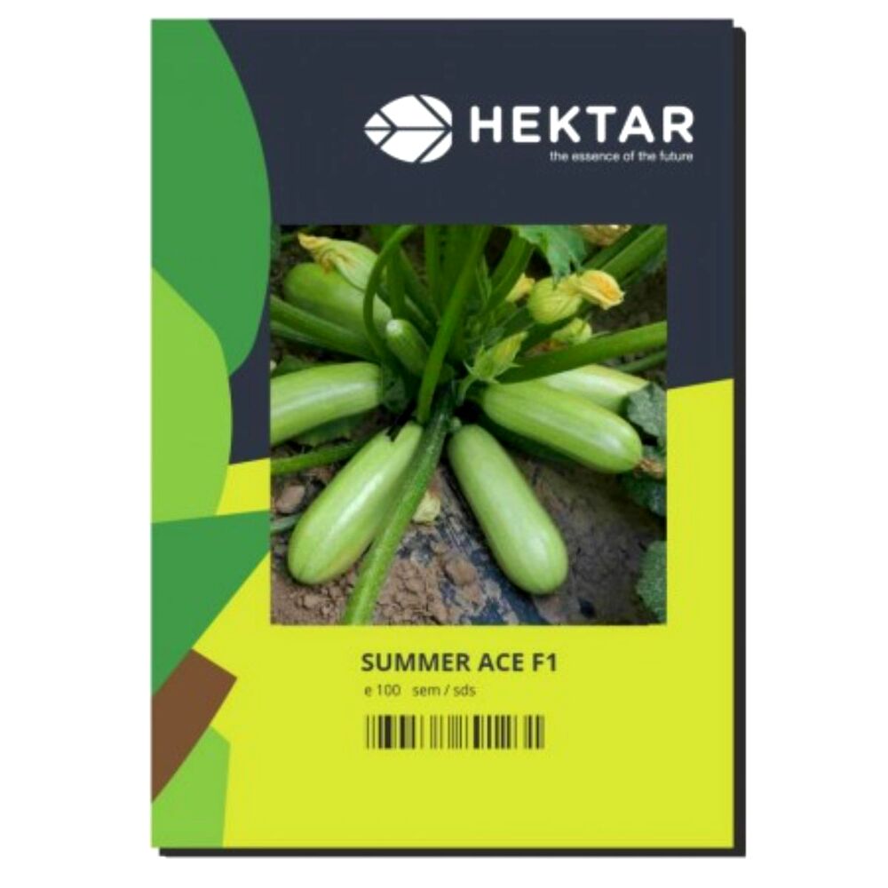 Seminte Dovlecel Summer Ace F1 HEKTAR 100 sem