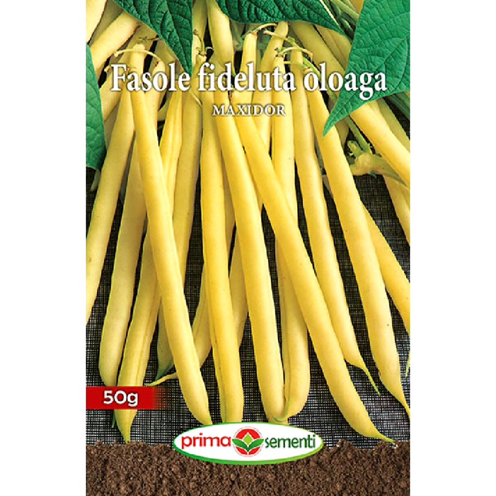 Seminte fasole fideluta oloaga Maxidor 250g, Prima Sementi