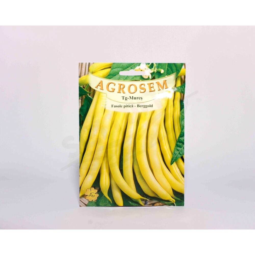 Seminte fasole fideluta pitica Berggold 1kg