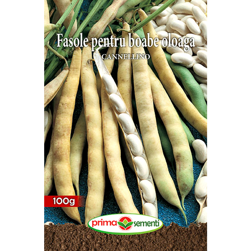 Seminte fasole oloaga Cannelino 100g