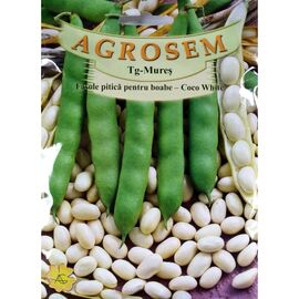 Seminte Fasole pitica  bob alb Coco White TRATAT AGROSEM 200 g