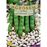 Seminte Fasole pitica bob alb Coco White TRATAT AGROSEM 200 g
