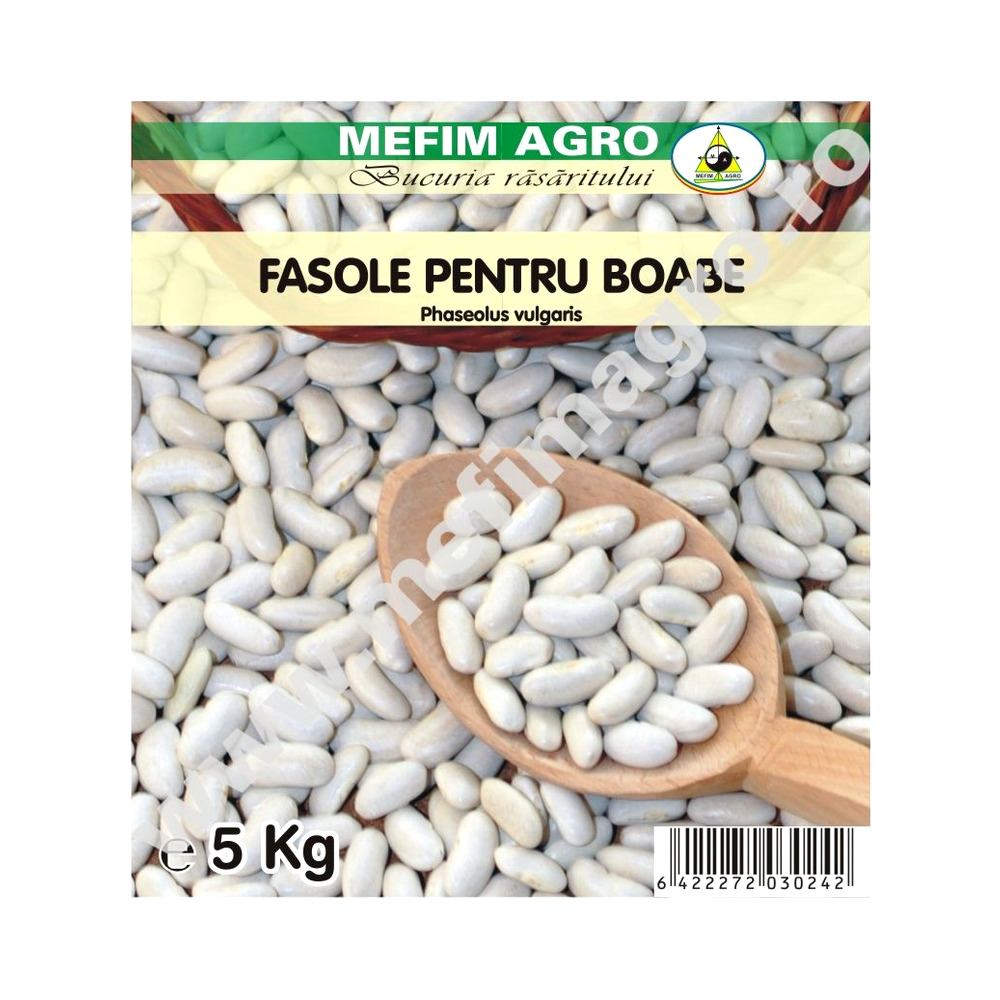 Seminte Fasole pitica CANNELLINO - 5 kg