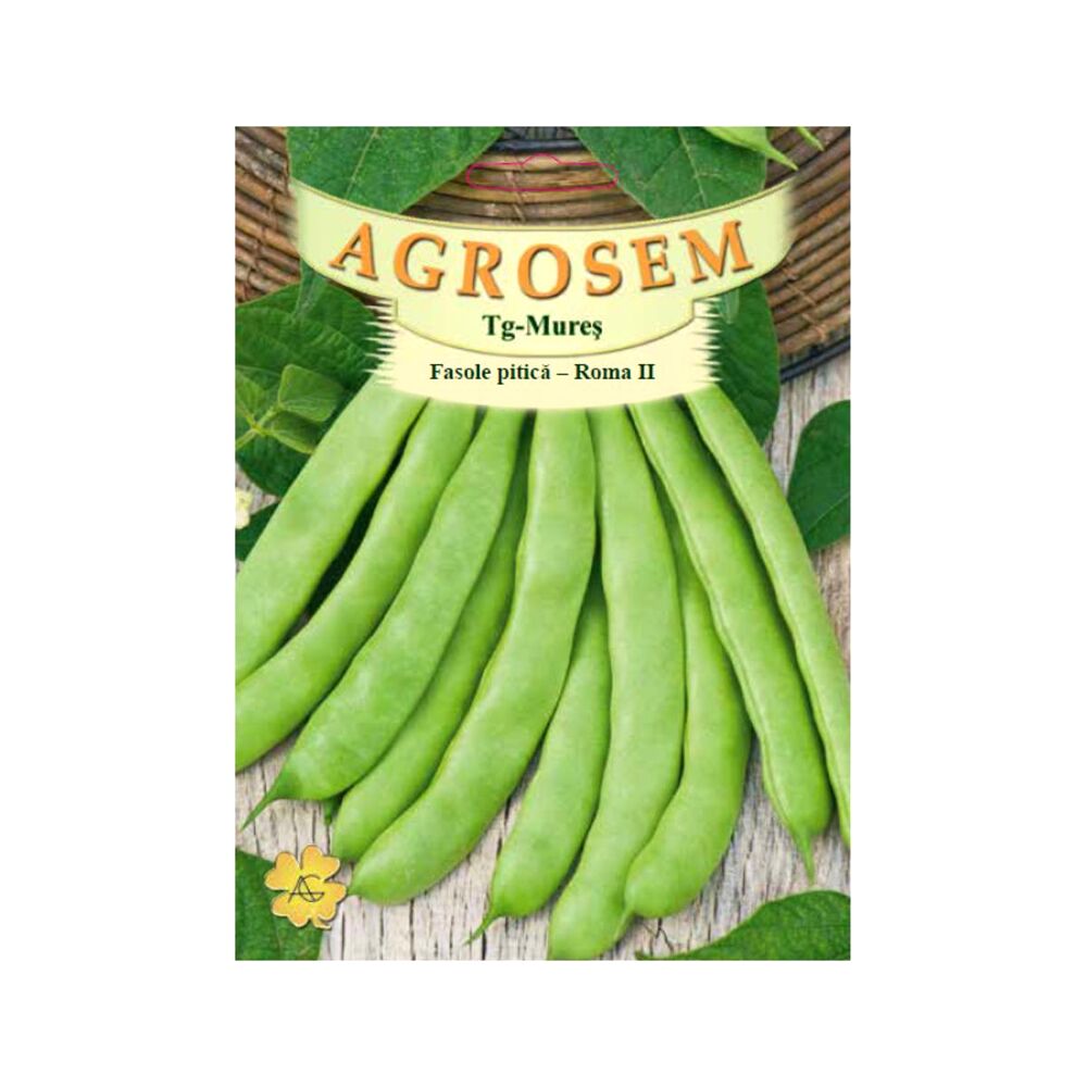 Seminte Fasole pitica verde Lata Roma II TRATAT AGROSEM 50 g