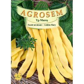 Seminte Fasole urcatoare galbena lata Golden Mary TRATAT AGROSEM 200 g
