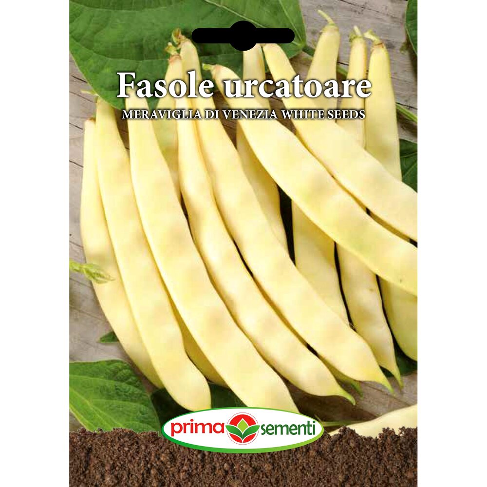 Seminte fasole urcatoare Meraviglia Di Venezia White Seeds, 100 gr, Prima Sementi