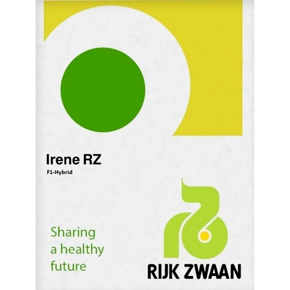 Seminte Ridichi IRENE F1, Rijk Zwaan - plic 50 g
