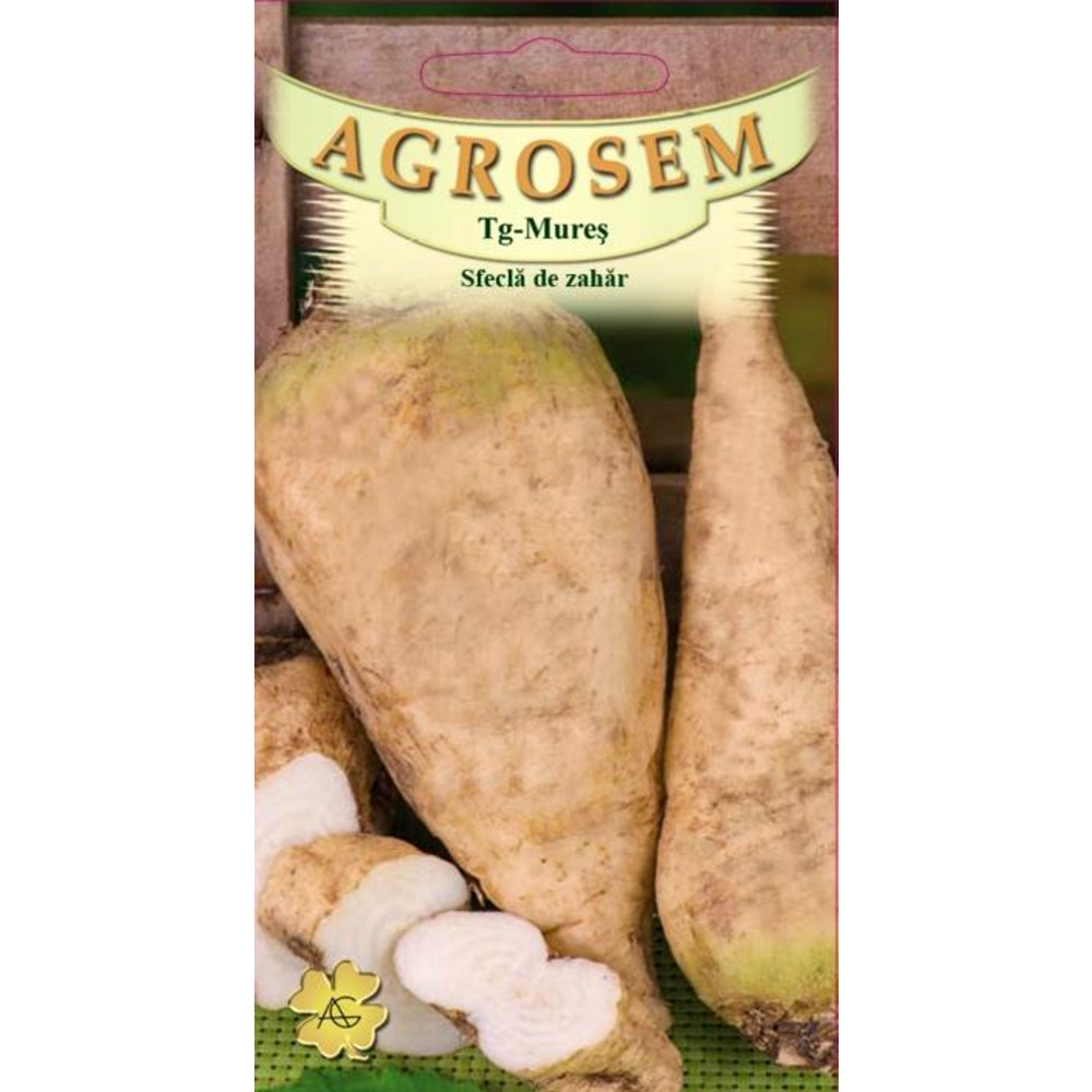 Sfecla de zahar Semizuccherina (100 gr) planta bienala industriala, Agrosem