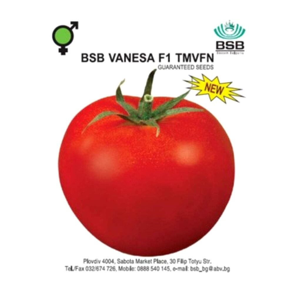 Tomate VANESA F1 1500 sem