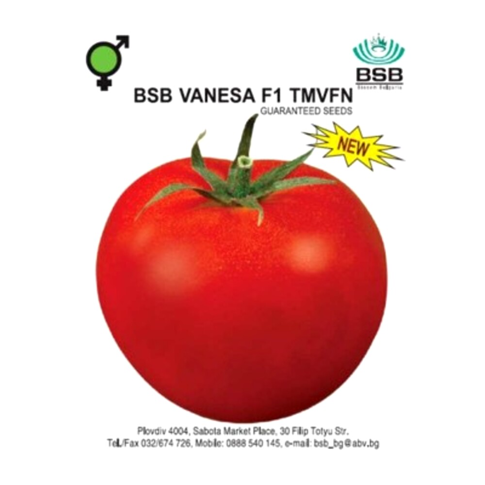 Tomate VANESA F1 3000 sem
